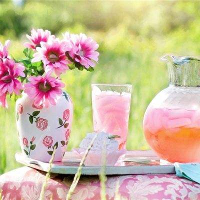 鸭脖app下载手机app下载